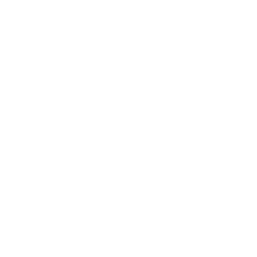 pioneer-light.png