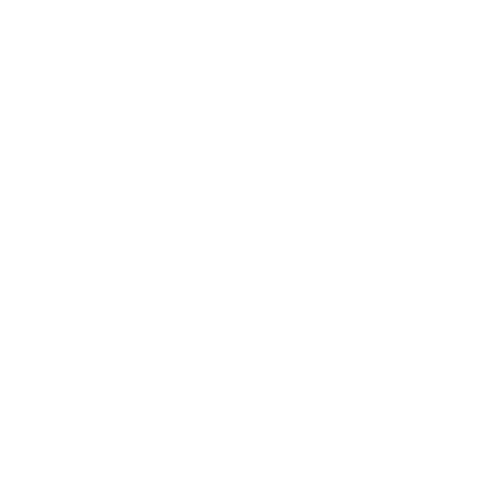 tiktok-light.png