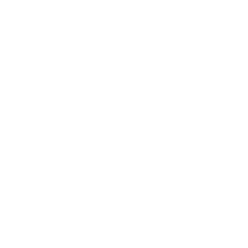 woodpecker-ci-light.png